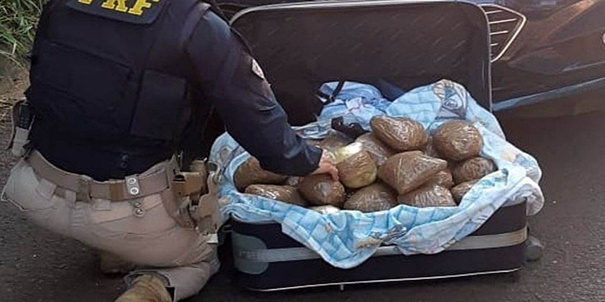 PRF apreende mais de 10 quilos de skunk na mala de um carona em Guaraniaçu