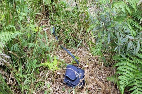Denúncia anônima leva Polícia Civil a encontrar cemitério clandestino em Curitiba
