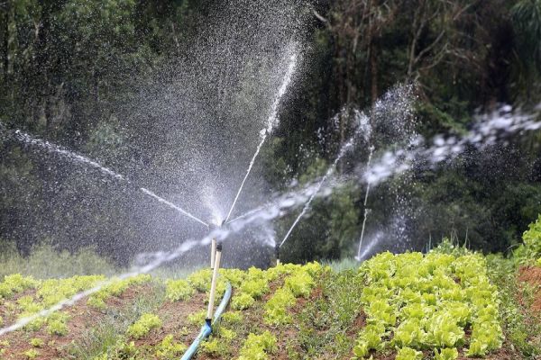 Produção de alimentos também precisa de mais chuva