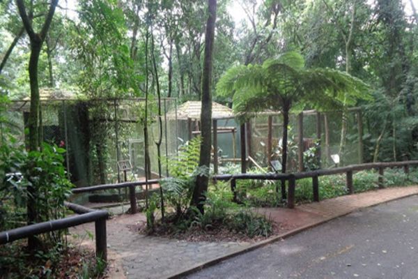 Zoológico de Cascavel será reaberto para o público a partir desta terça-feira (20)