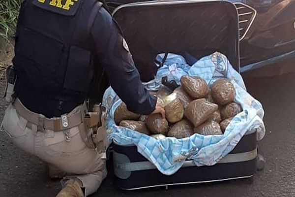PRF apreende mais de 10 quilos de skunk na mala de um carona em Guaraniaçu