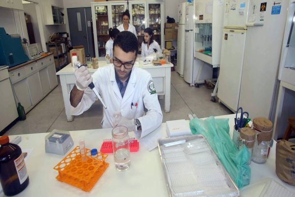 Universidades estaduais do Paraná conquistam nota máxima no Enade