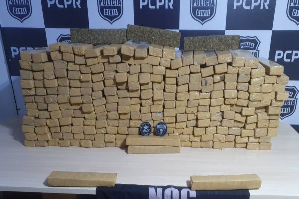 Denarc e Homicídios apreendem quase 250kg de maconha na rodoviária de Cascavel