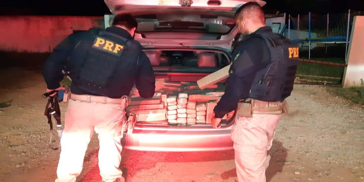 PRF apreende quase 400 quilos de maconha em Campo Largo