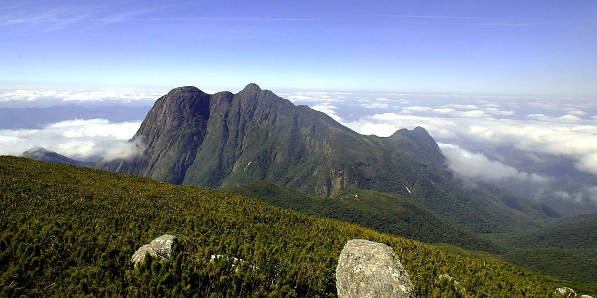 Parques estaduais recebem R$ 30 milhões para ações de conservação