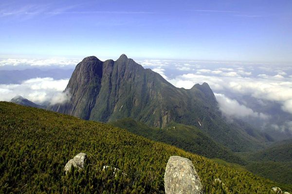 Parques estaduais recebem R$ 30 milhões para ações de conservação