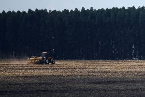 Imagem referente à notícia: Crédito rural financiou R$ 92,4 bi em áreas com alertas ambientais