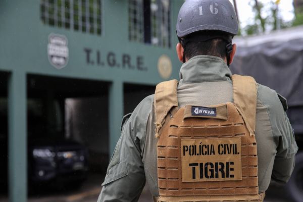 Grupo Tigre completa 30 anos como referência no Brasil