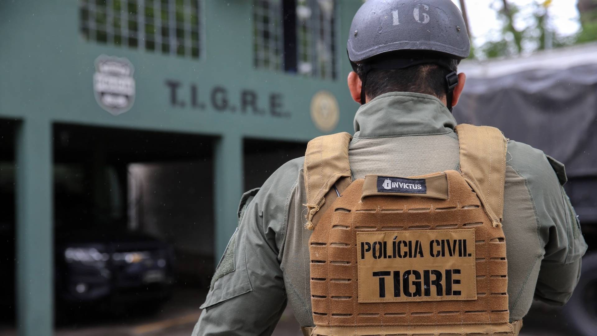Grupo Tigre completa 30 anos como referência no Brasil