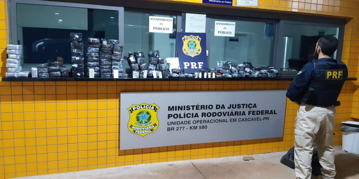 PRF Cascavel apreende grande quantidade de medicamentos e anabolizantes na BR-277