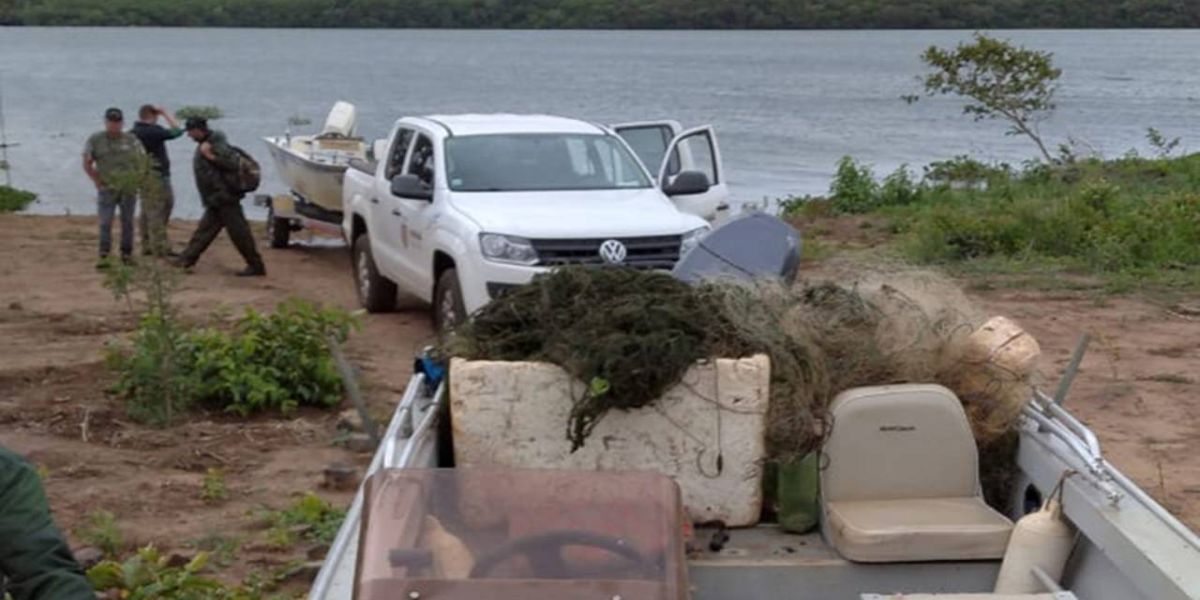 Força-tarefa salva matrizes de peixes e garante repovoamento dos rios