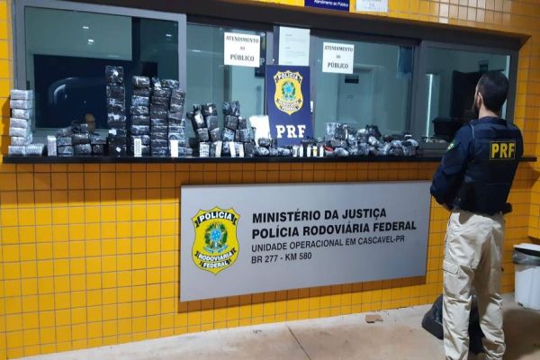 PRF Cascavel apreende grande quantidade de medicamentos e anabolizantes na BR-277
