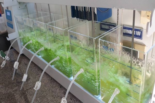 Sanepar detém patente para produzir etanol a partir do esgoto