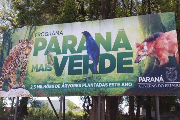 Estado estimula o plantio de 10 milhões de mudas de árvores nativas