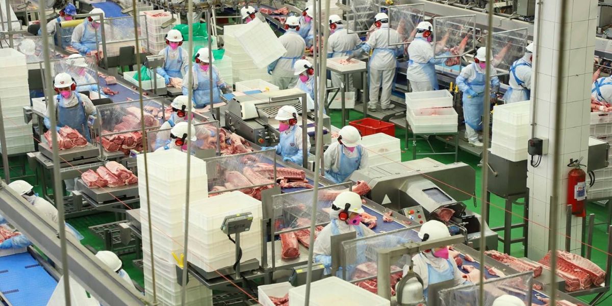 Mesmo com pandemia, indústria alimentícia paranaense cresce 9,4% no ano