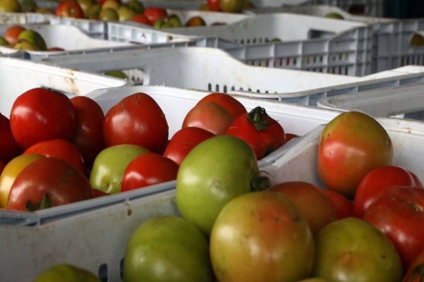 Paraná reforça programa para reduzir desperdício de alimentos