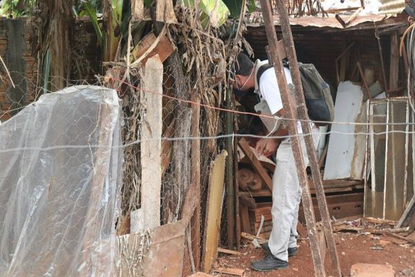 Casos de dengue não aumentam, mas cuidados devem ser mantidos em Cascavel