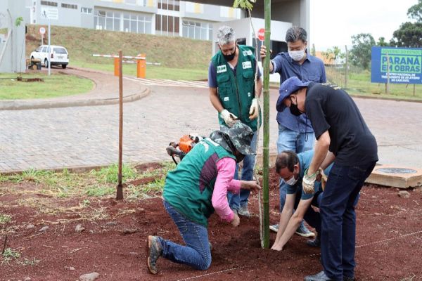 Parceria garante plantio de mudas de árvores no CNTA