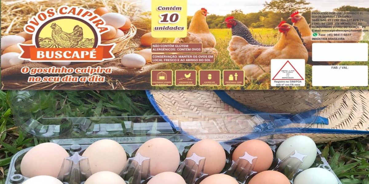 Com apoio do Sebrae, agricultores familiares profissionalizam marcas e rótulos para ganhar mercado