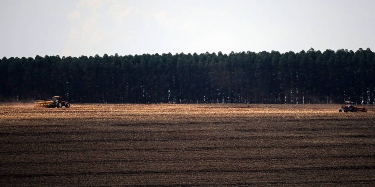 Crea-PR fiscaliza plantio da Safra Verão na região oeste paranaense