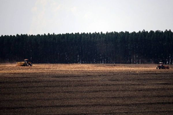 Crea-PR fiscaliza plantio da Safra Verão na região oeste paranaense