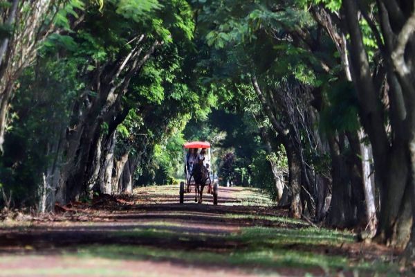 Turismo rural é opção para aumentar a renda no campo