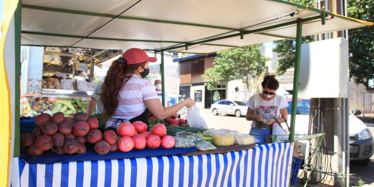 Em clima de Natal, Feirinha do Pequeno Produtor tem programação especial para o fim do ano