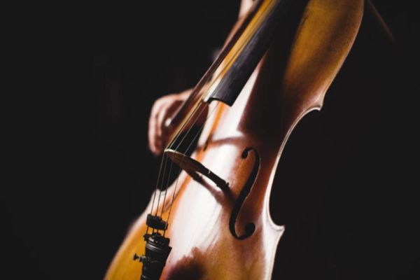 Pautas culturais serão tema de reunião online