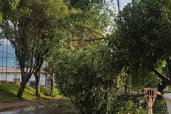 Cascavel registra mais de 50 quedas de arvores e mil imóveis sem energia elétrica