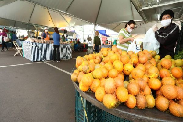 Feira do Teatro terá edições extras para garantir renda aos feirantes e evitar aglomerações