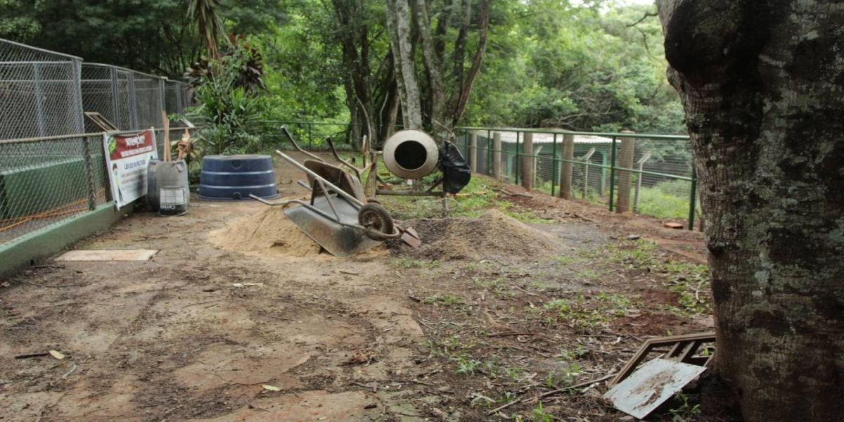 Zoológico de Cascavel passa por reformas para melhor qualidade de vida dos animais