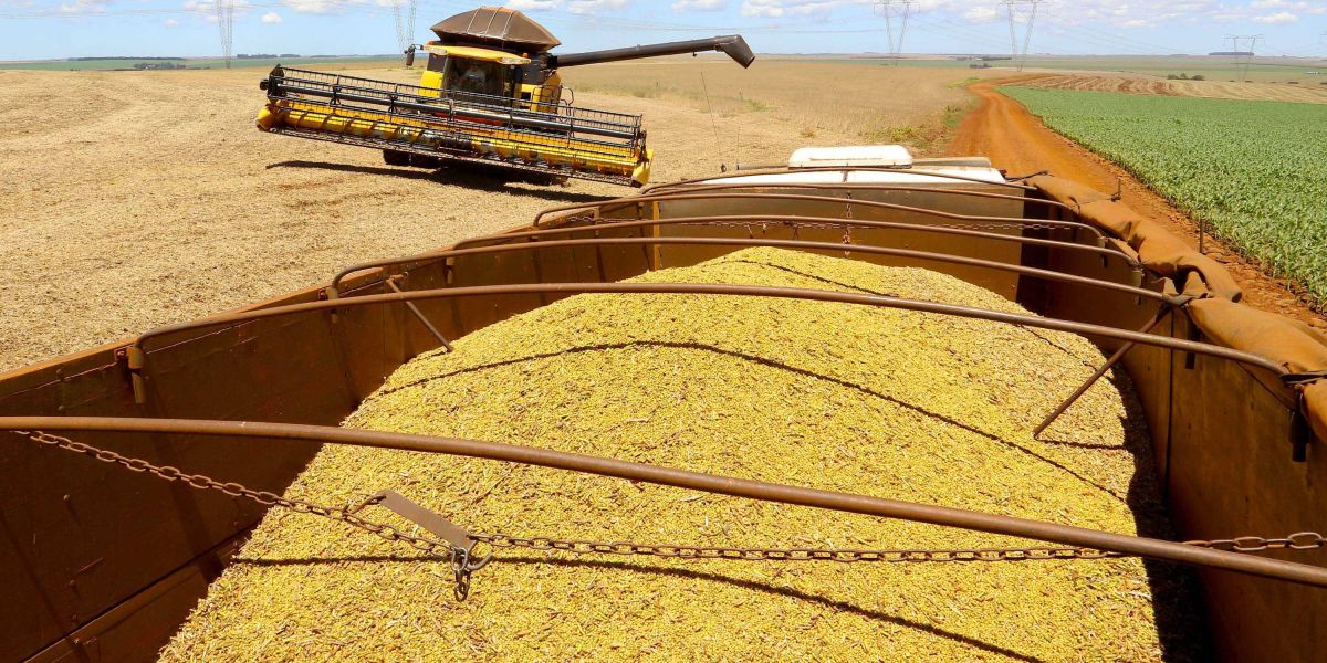 Alta de 15,7% na agropecuária reduz impacto da pandemia sobre o PIB