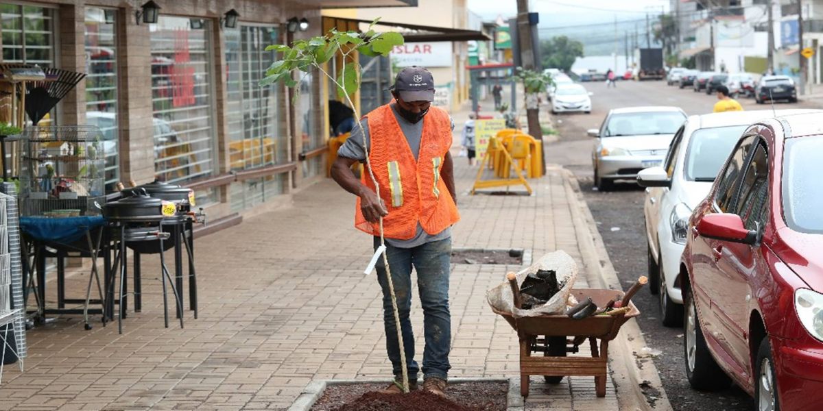 Cascavel é destaque ao garantir o plantio de mais de 1.000 árvores nas novas Avenidas