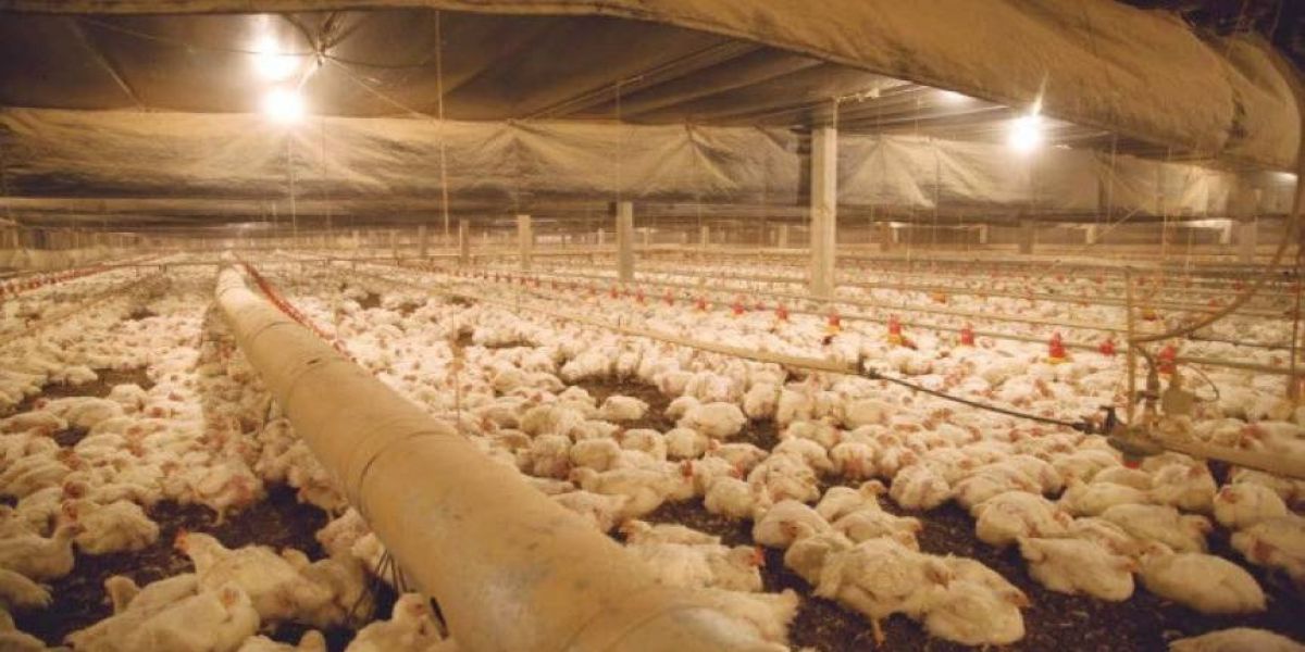 Articulação dos deputados e recursos da Assembleia garantem Tarifa Rural Noturna até 2022