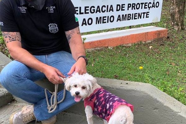 PCPR prende homem por abandono e maus-tratos contra um cachorro