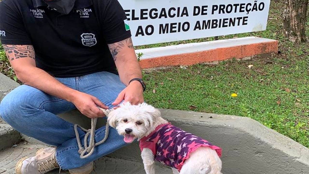 PCPR prende homem por abandono e maus-tratos contra um cachorro