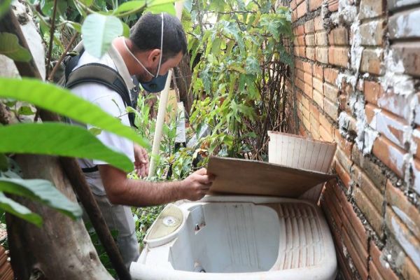Verão: Momento é de redobrar os cuidados para evitar a proliferação da dengue