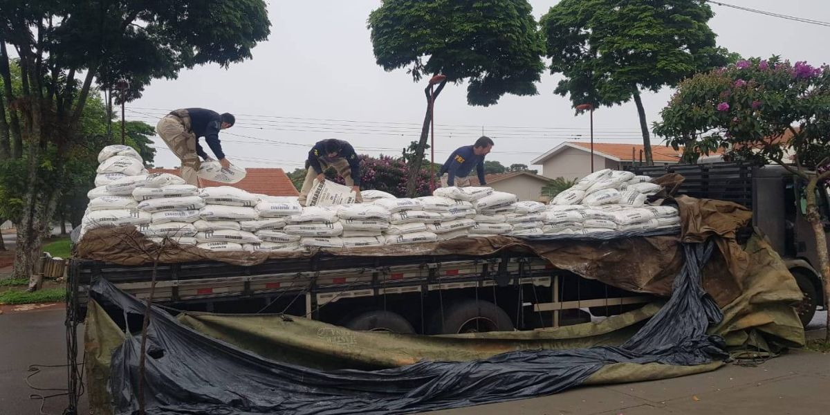 PRF Paraná faz a primeira grande apreensão de maconha do ano em Toledo