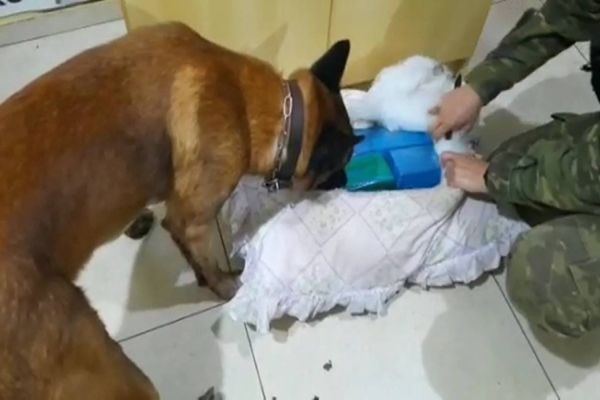 BPFRON apreende maconha em ônibus durante Operação Hórus em Lindoeste