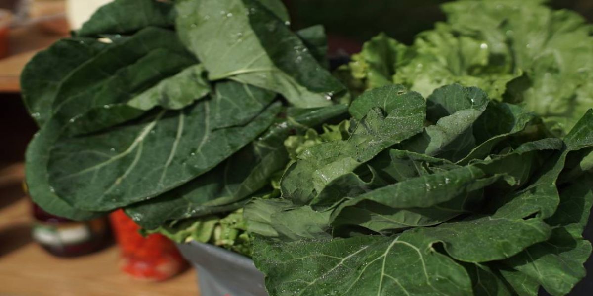 Pesquisa aponta impacto de compra da agricultura familiar durante a pandemia