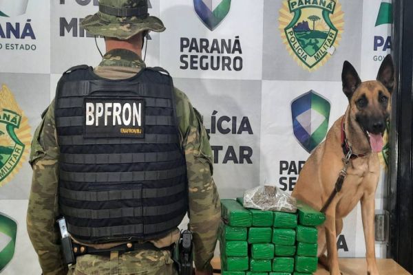 BPFRON apreende maconha em ônibus  durante Operação Hórus em Lindoeste