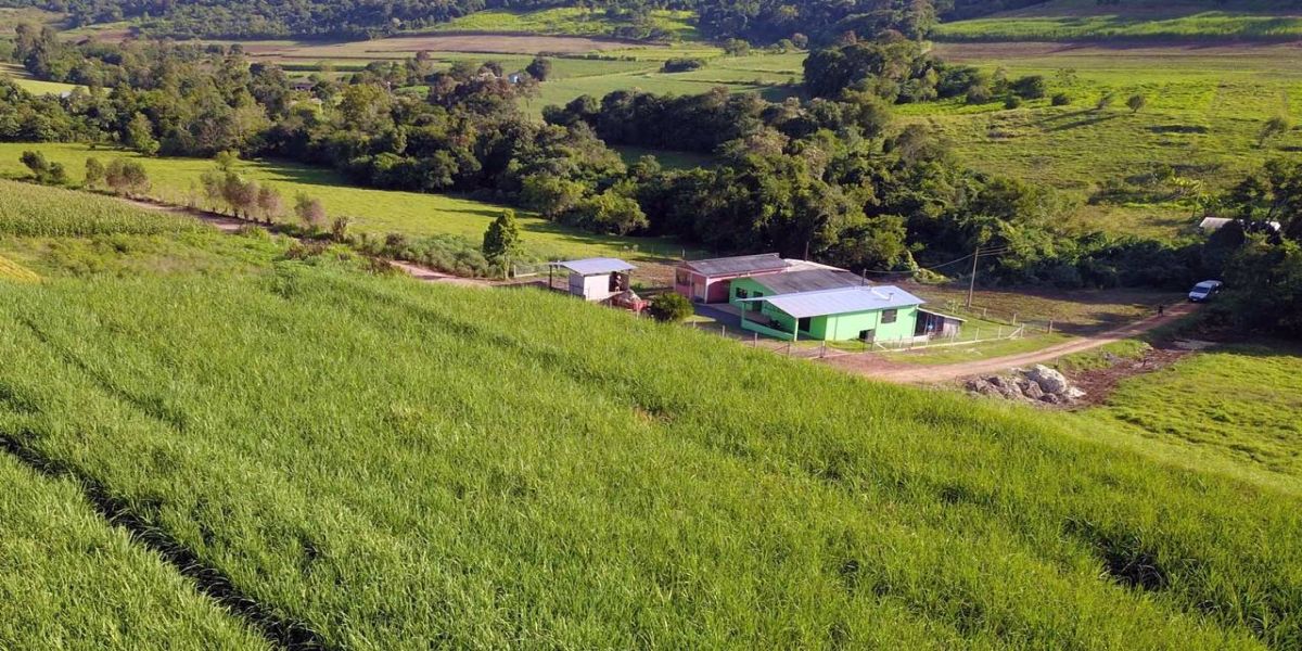 Agricultura inicia novos projetos voltados a pequenos produtores
