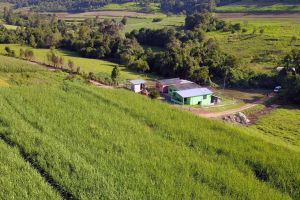 Agricultura empresarial contrata R$ 28,2 bilhões em crédito rural no primeiro mês da safra 2026/2027