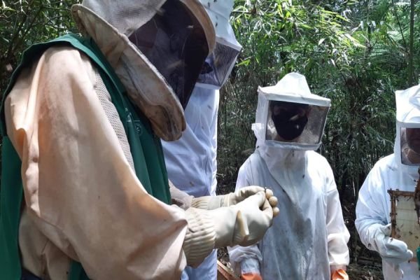 Curso de apicultura é o primeiro de 2021 na Agrotec
