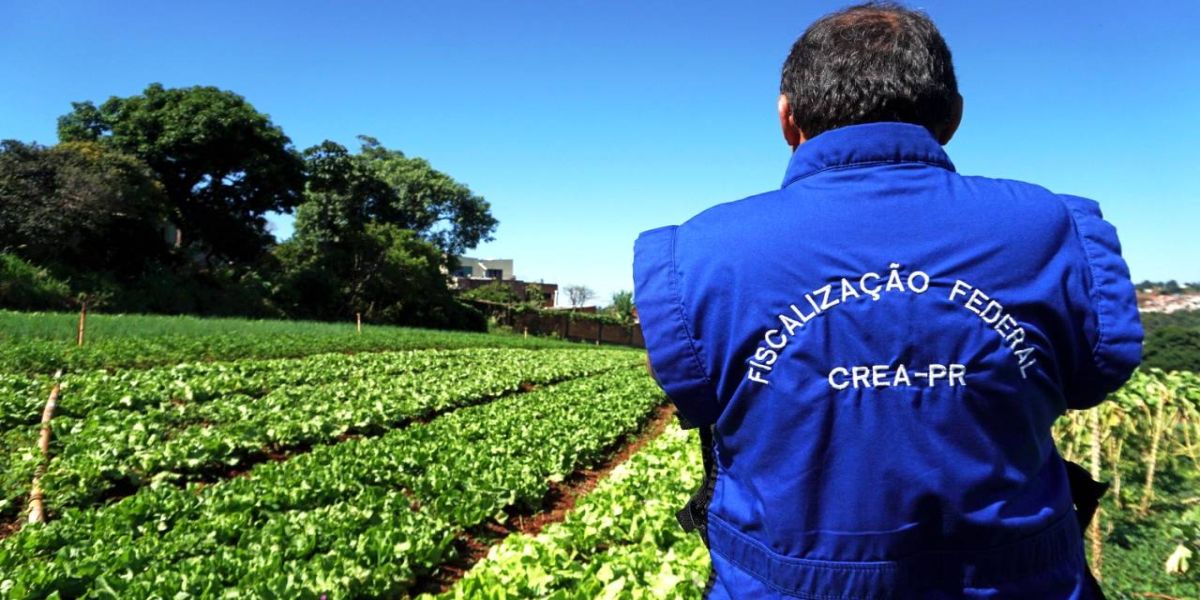 Fiscalização das culturas agrícolas cresce mais de 80% no Paraná