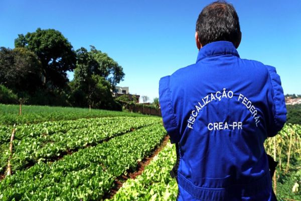 Fiscalização das culturas agrícolas cresce mais de 80% no Paraná