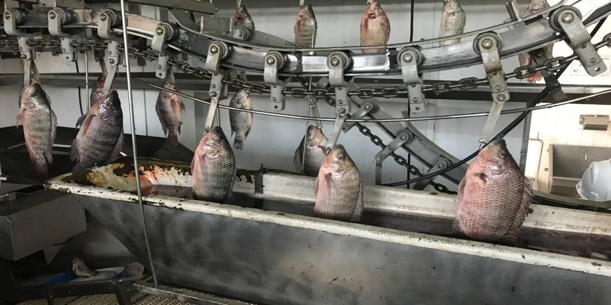 Centro Inovador e Tecnológico da Fundetec apoia e capacita empresas de inovação