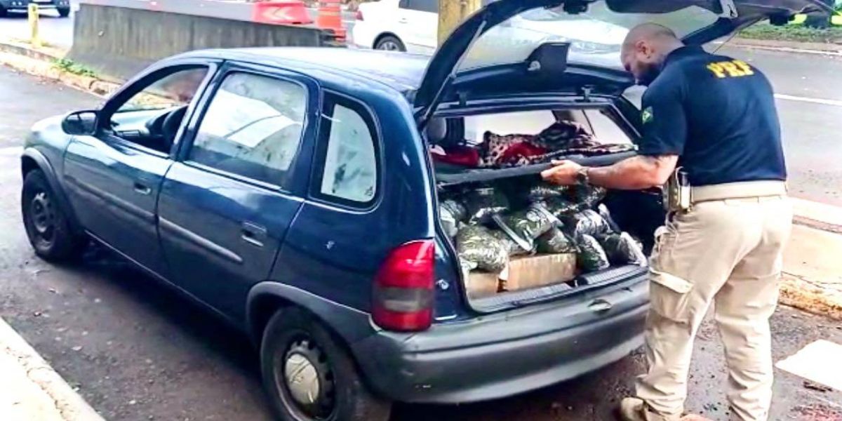 Após fuga e uso da “cama de faquir”, PRF apreende capulho e prende casal
