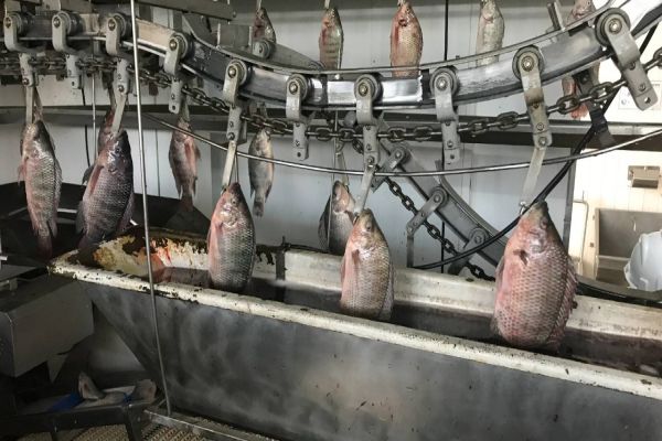 Centro Inovador e Tecnológico da Fundetec apoia e capacita empresas de inovação