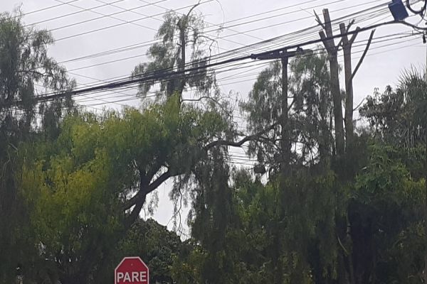 Queda de galho de árvore na rede elétrica deixa parte do Bairro Períolo, sem luz